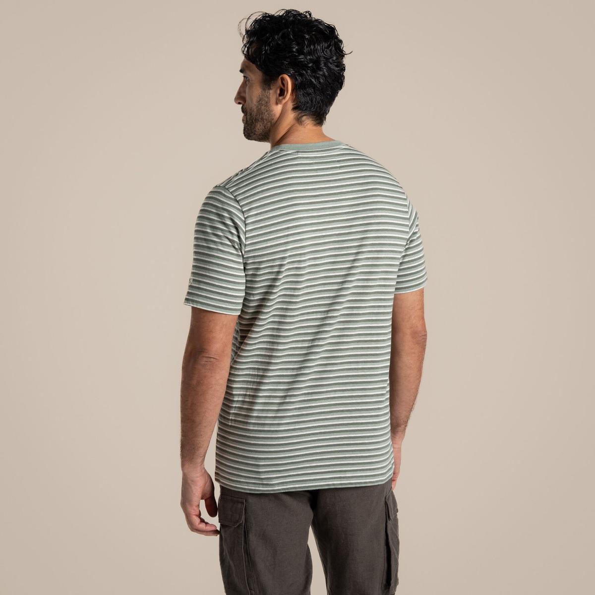product/c/r/craghoppers_cmt1019-10e_lichen-green-stripe_3.jpg