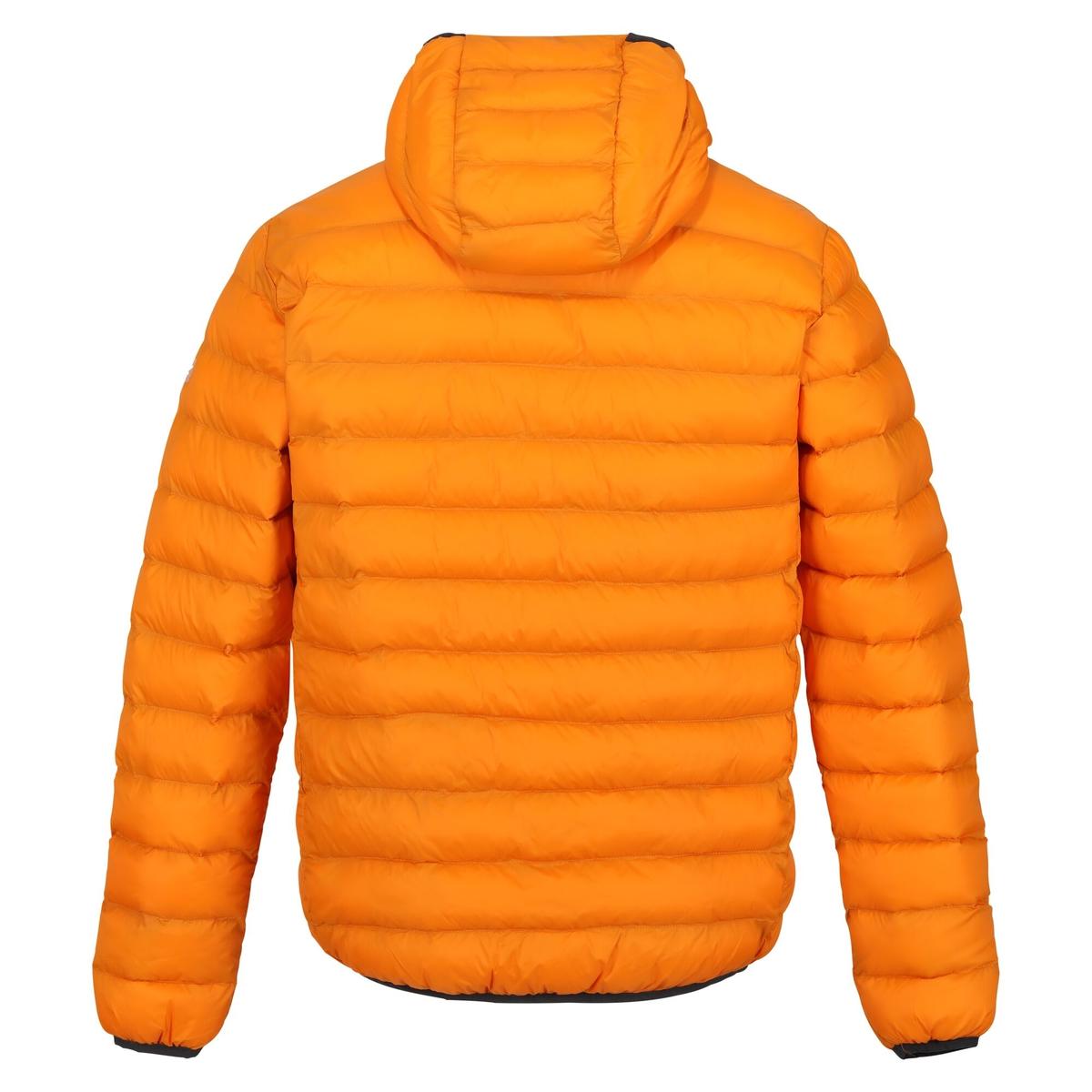 product/r/e/regatta_rmn223-p6z_orange-pepper-burnt-copper_2.jpg