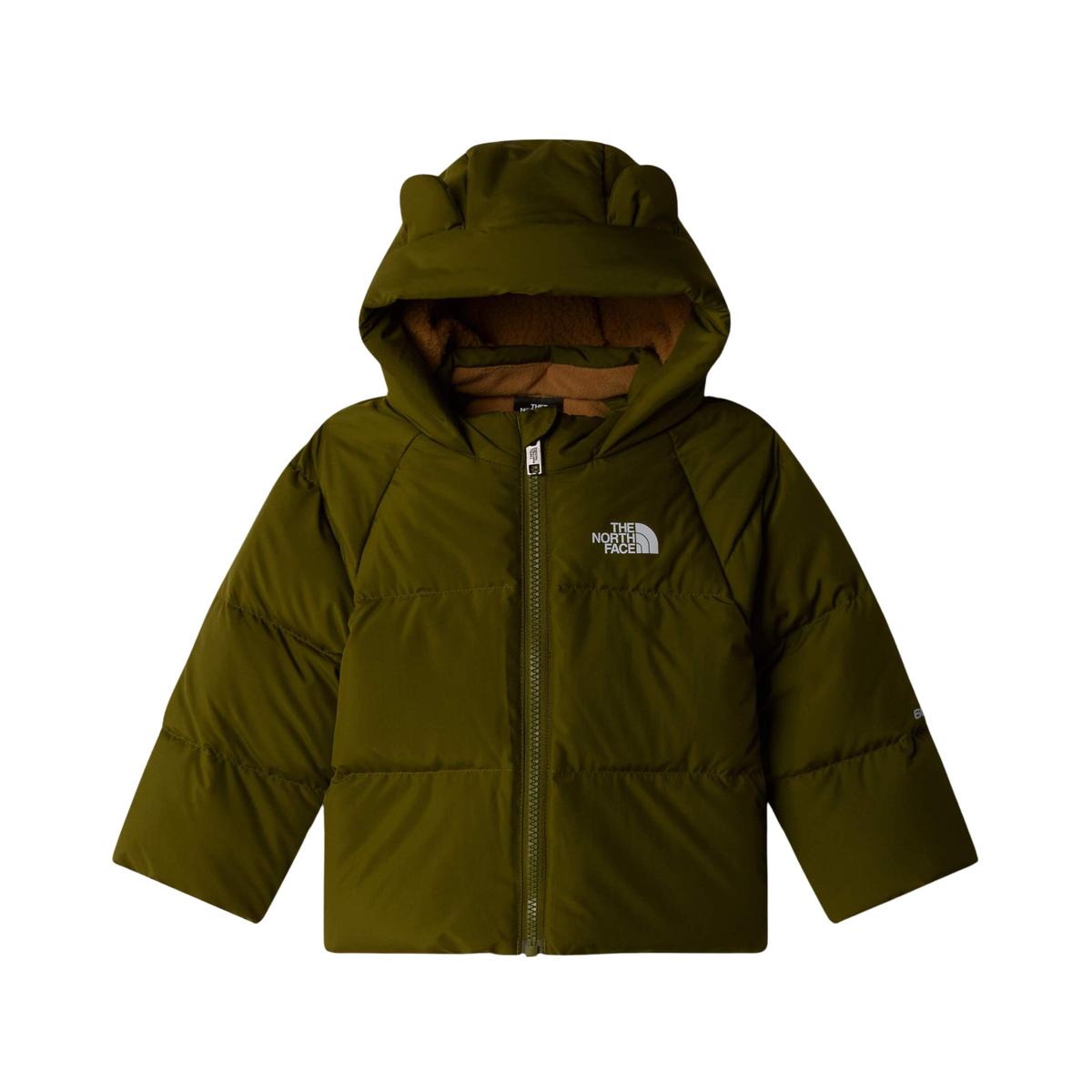product/t/h/the-north-face_nf0a88w-2pib_vert_1.jpg