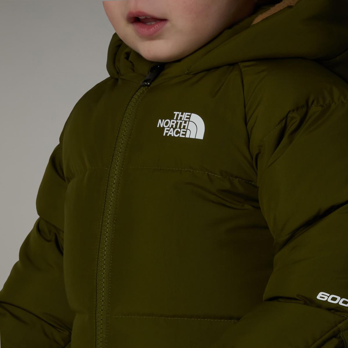 product/t/h/the-north-face_nf0a88w-2pib_vert_9.jpg