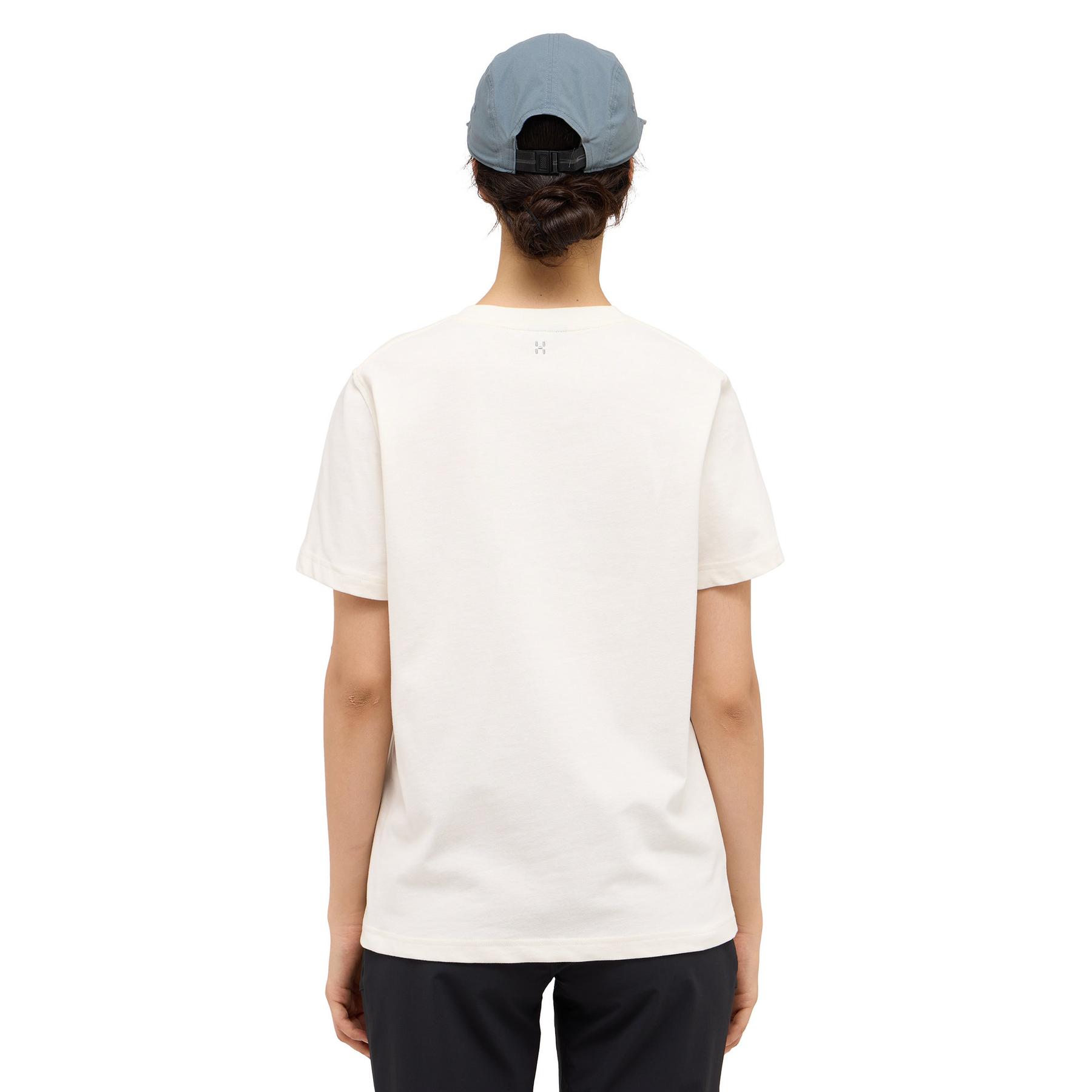product/h/a/haglofs_607665-2c4_2.jpg