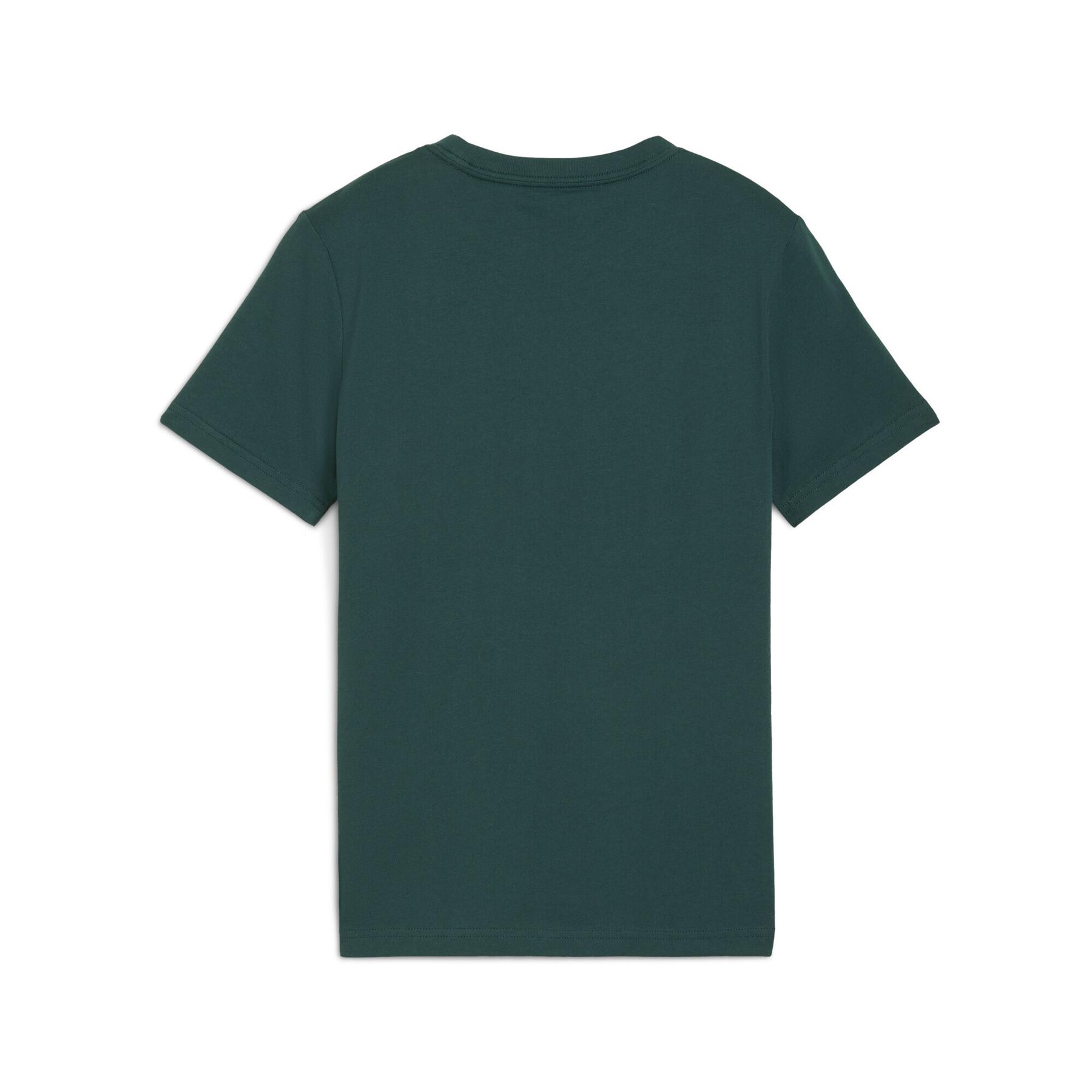 product/p/u/puma_688472-75_green_1.jpg