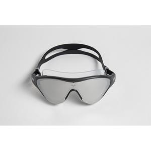 product/a/r/arena_004308-101_silver-black-black-sw3_12.jpg