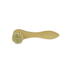 587902500-025-brosse-d-entretien-estex-palot-blanc-tu