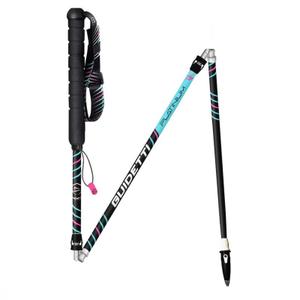 r205111-baton-de-trail-guidetti-platinium-aero-pulse-noir-bleu