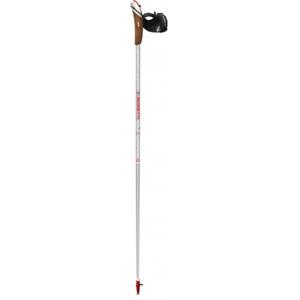 r30630-baton-de-marche-nordique-guidetti-vdf-ut100-titanium-edition-gris