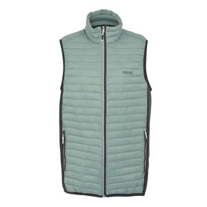 product/r/e/regatta_rmb150-9hc_glacier-ash_1.jpg