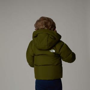 product/t/h/the-north-face_nf0a88w-2pib_vert_6.jpg