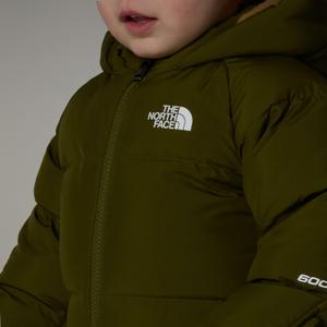 product/t/h/the-north-face_nf0a88w-2pib_vert_9.jpg