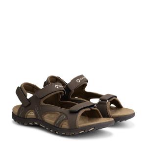 product/t/r/travelin_tr_stran-colbr_brown_2.jpg